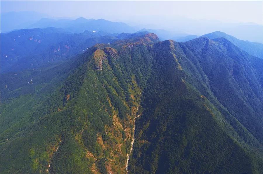 云?。簢婪郎只馂?zāi) 堅決守護綠水青山